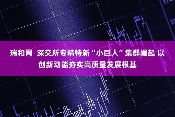 瑞和网  深交所专精特新“小巨人”集群崛起 以创新动能夯实高质量发展根基