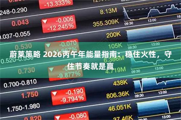 蔚莱策略 2026丙午年能量指南：稳住火性，守住节奏就是赢